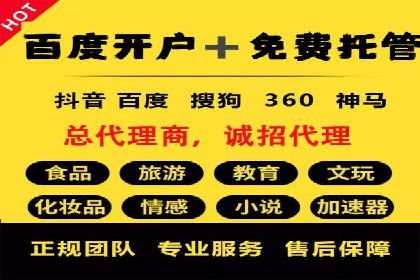 某某企业SEM营销案例：从SEM到全渠道营销的转型之路